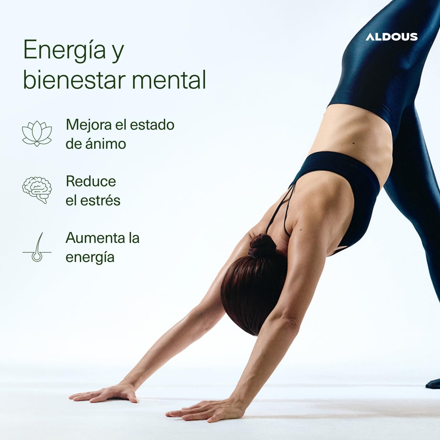 Ashwagandha Gominolas KSM-66 | Relajación y Energía – Aldous