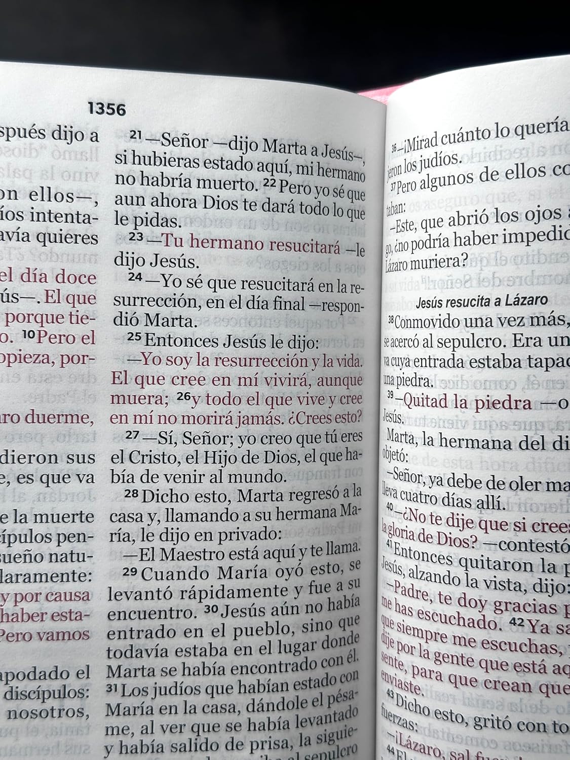 Biblia NVI Peninsular Letra Grande Rosa | Cuero Artificial